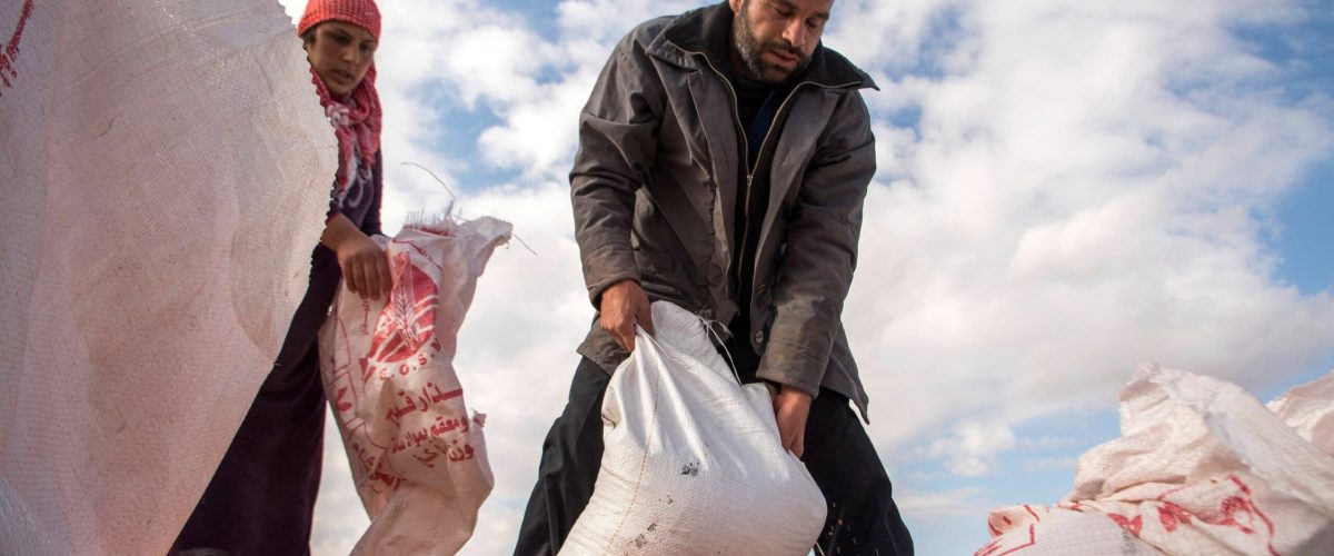arab-countries-scale-up-resilience-of-agrifood-systems-against-shocks93e4a9d6677148e2ae125f1a3b246578